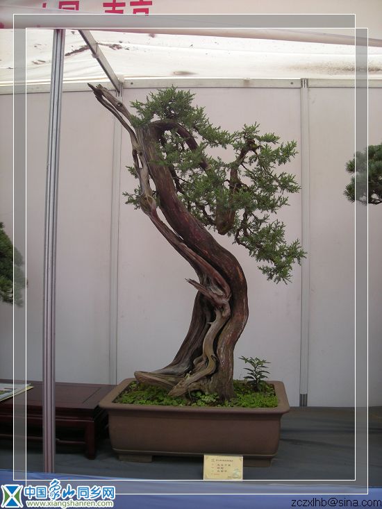 8宁波展品（展出3）.jpg