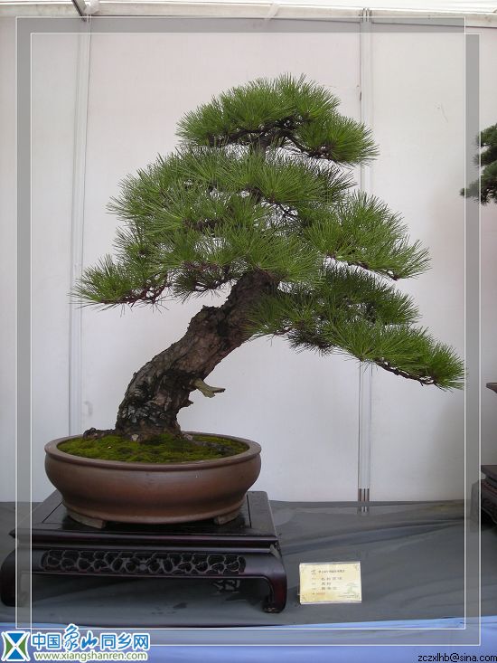 8宁波展品（展出2）.jpg