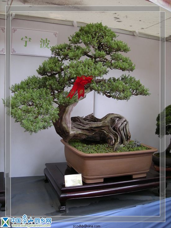 7金奖展品（宁波1）.jpg