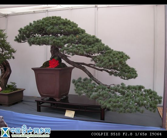 7金奖展品（宁波2）.jpg