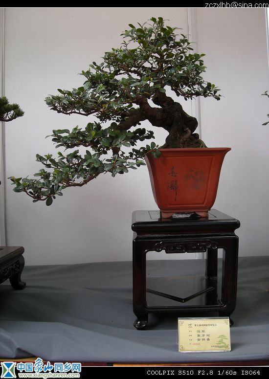5象山展品1.jpg