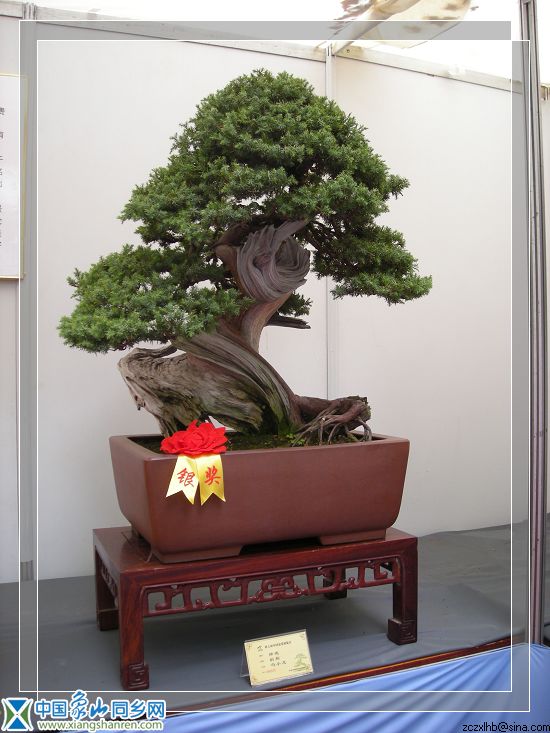 8宁波展品（银3）.jpg