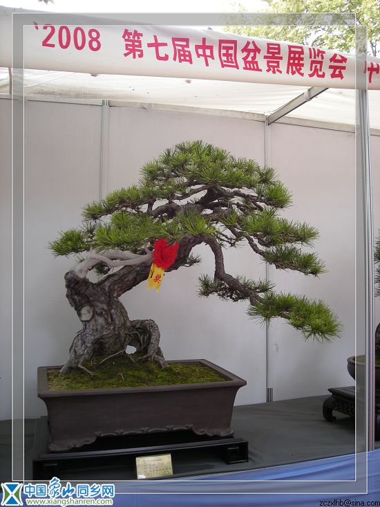 8宁波展品（银2）.jpg