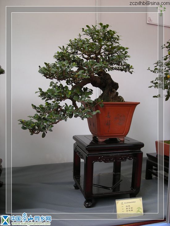 8宁波展品（展出7）.jpg