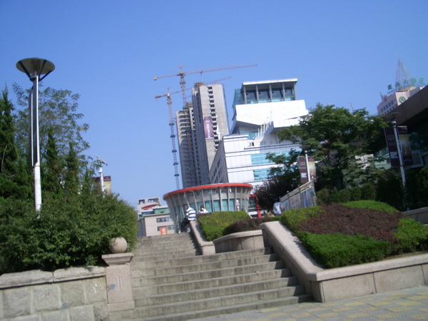 CIMG0536.jpg