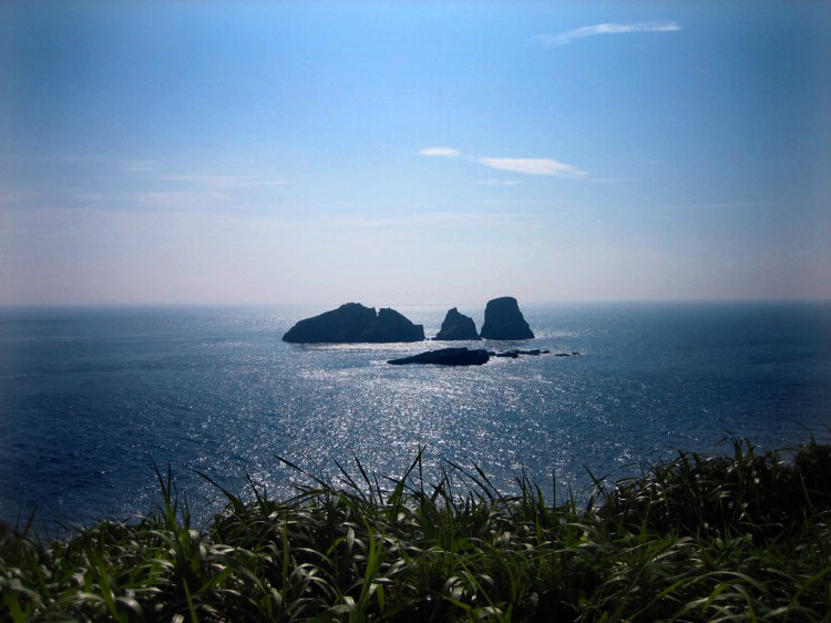 20081005_318b8313159a686706d2d2zTLaM3wCcU[1].jpg