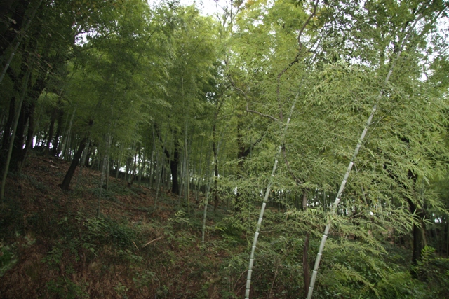 IMG_0112.JPG