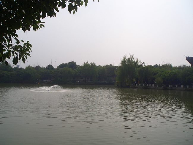 CIMG6401.JPG