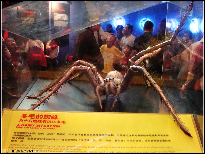 DSC01617_nEO_IMG.jpg