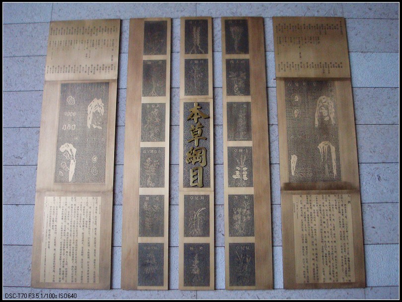 这张是在走廊拍的，嘿嘿