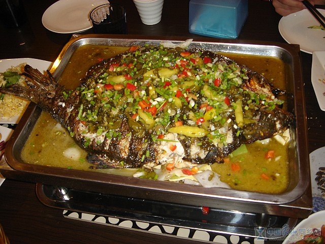 DSC06508.jpg