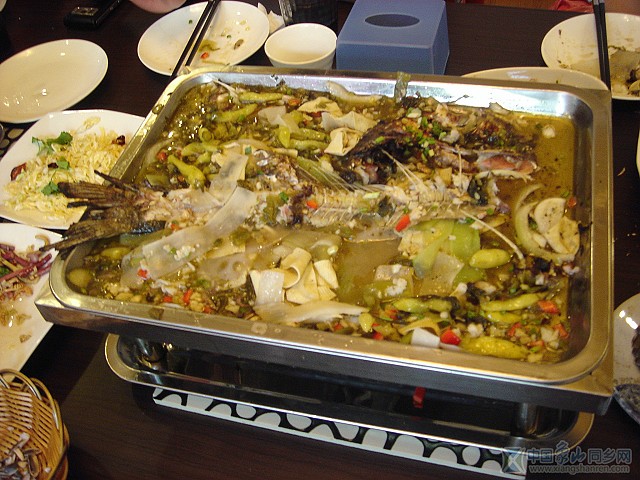 DSC06512.jpg