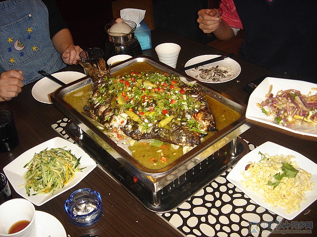 DSC06506.jpg