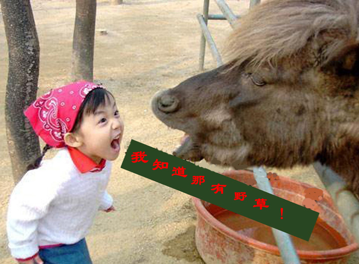 知道那儿有小草.jpg