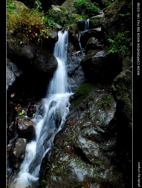 藏龙百瀑12.JPG