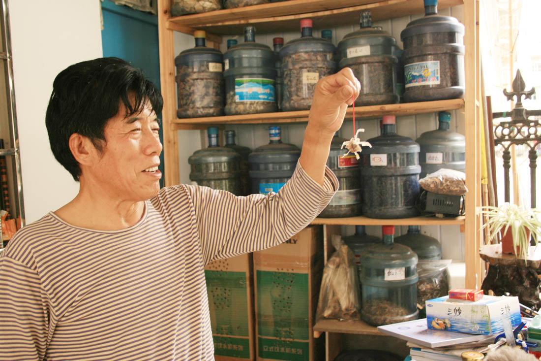 郑阳清在向记者展示刚吃光鳓鱼头骨亲手用鱼刺拼接做成的飞鸟.jpg