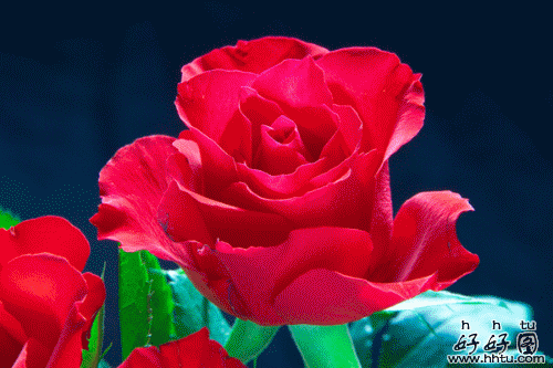 ccc5.gif