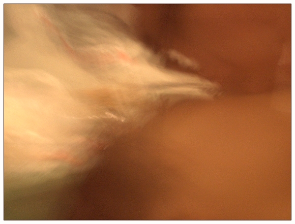 DSCF3754.jpg