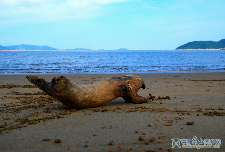 DSC_0066.jpg