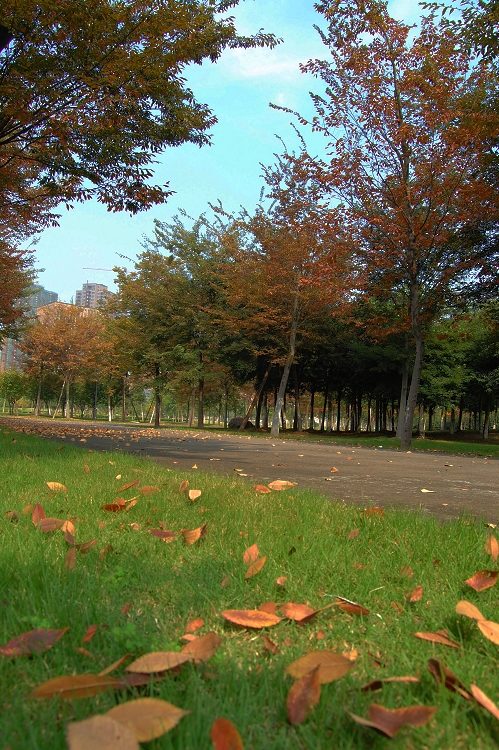 照片 014.jpg