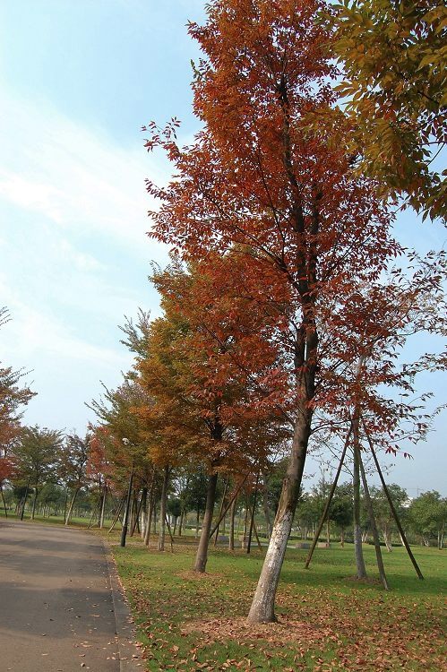 照片 003.jpg