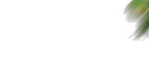 abbr_1e63a7430c176edd2486ddb0b5c00776.gif