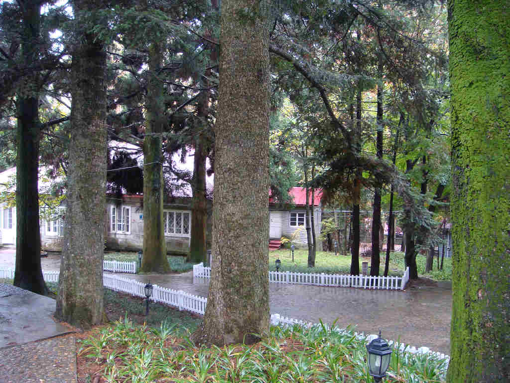 DSC01113.jpg