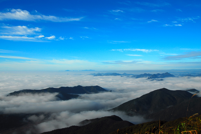 DSC_3290-1.jpg