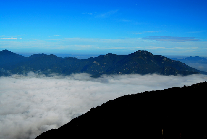 DSC_3352-1.jpg