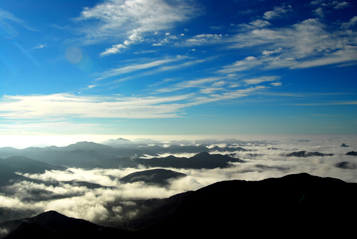 DSC_3350-1.jpg