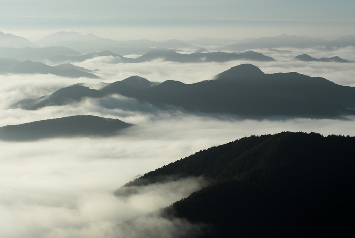 DSC_3111-1.jpg