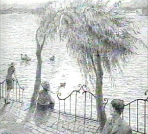 3.狮子在哪里?