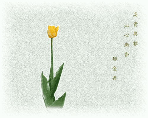 2007889585777426.gif