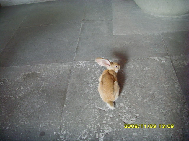 SNV30438.JPG