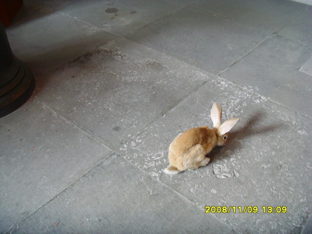SNV30436.JPG