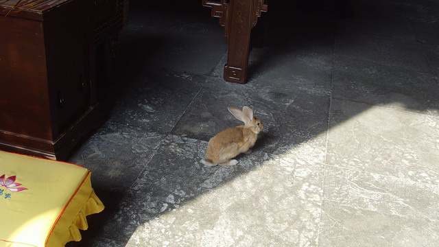 SNV31448.JPG