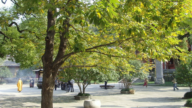 SNV31486.JPG
