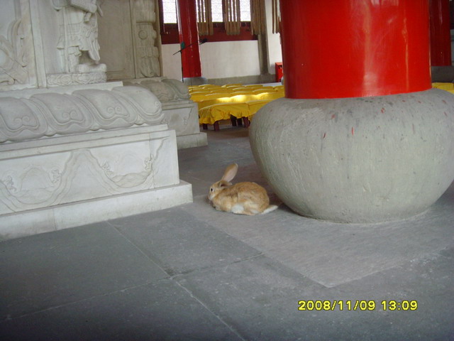 SNV30440.JPG