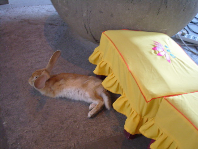 S1054001.JPG