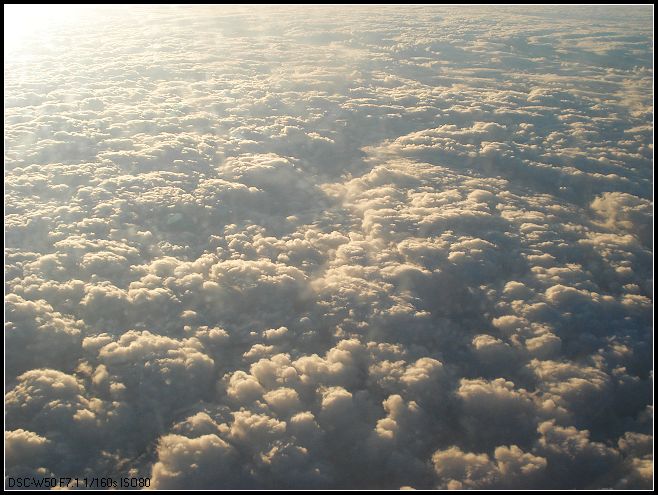 机上 (5).jpg