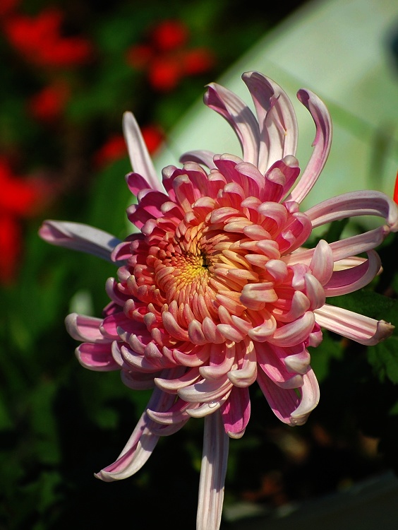 照片 052.jpg