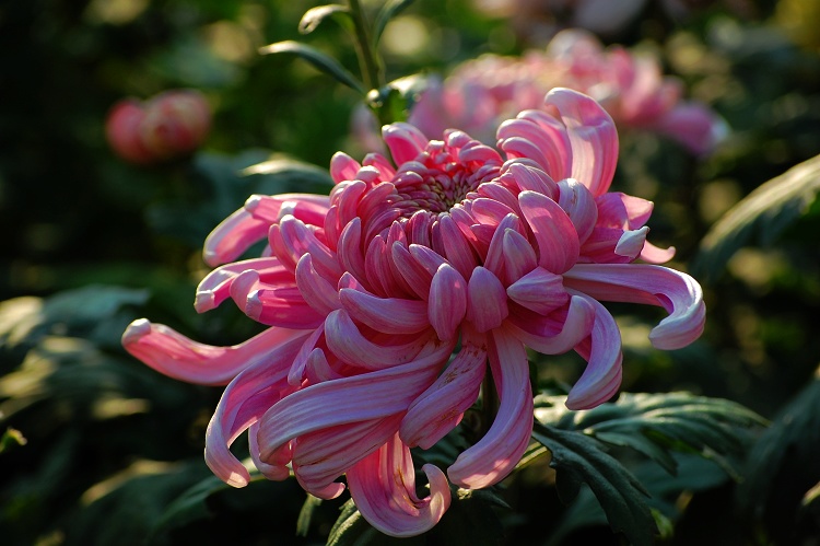 照片 256.jpg