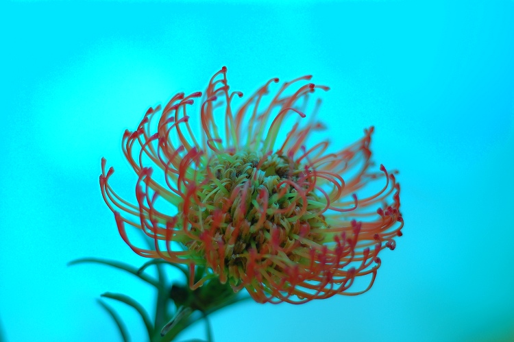 照片 008.jpg
