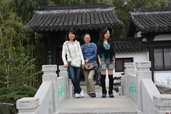 Alisa，小麻雀和兔兔