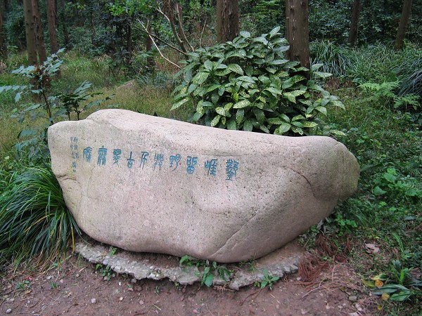 这样的小景很多