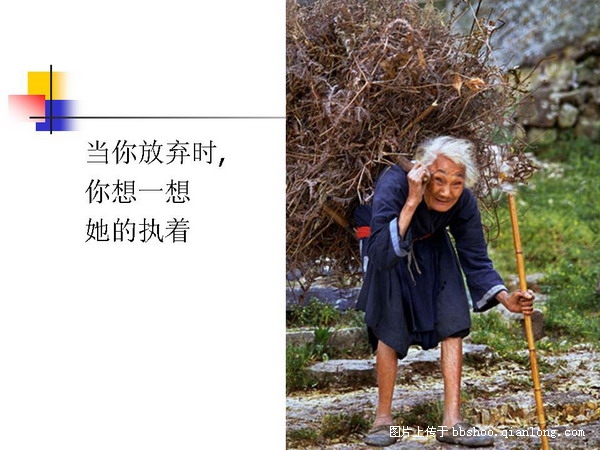 20081120_6e23e36c9bbdcc3207d1kLn8pF0eoAIa.jpg