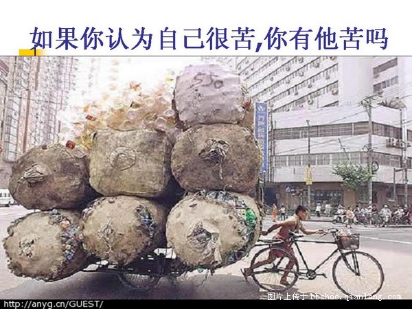 20081120_d902a4a201989b7a4cbaOwudJATNeZjB.jpg