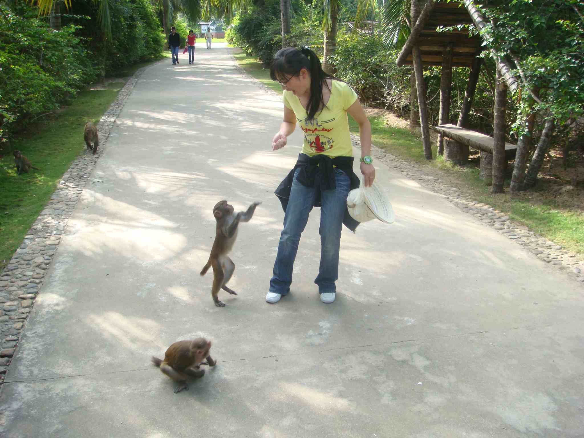 喂猴子.JPG