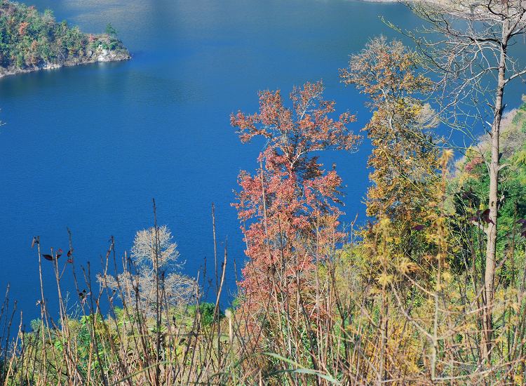DSC_0091.jpg