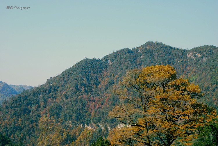 DSC_0032.jpg